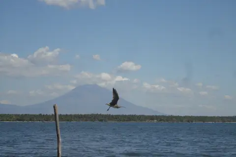 Bahía de Jiquilisco, Usulután